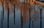 Sguardi nel Lago Sguardi nel Lago