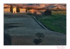 Vitaleta - Pienza