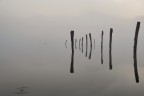 Prime luci al lago nebbioso