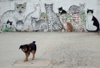 La ritirata La ritirata