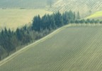 campi campi