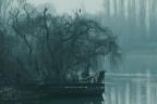 La maledizione della prima luna La maledizione della prima luna