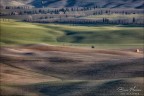 Onde sulle colline Onde sulle colline