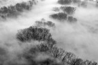 Winter Fog