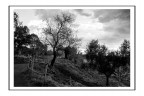 Parco degli Acquedotti Parco degli Acquedotti