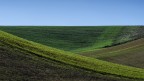 Terre Daune Terre Daune