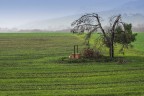 Quasi primavera Quasi primavera