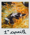 1 APRILE 1 APRILE