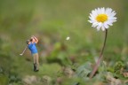 Voglia di Primavera Voglia di Primavera