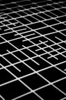 linee contest linee contest