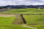 Colline Toscane nel verde..