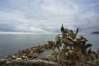 Profumo di Mare.. Profumo di Mare..