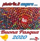 Buona Pasqua 2020 da photo4u.it
