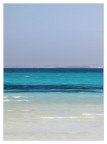 MARE MARE
