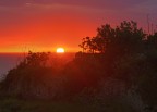 Pink - Tramonto sulle parracine Pink - Tramonto sulle parracine