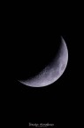 moon moon