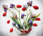 fiori di campo