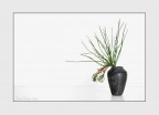 Ikebana Ikebana