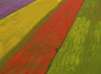Colors Colors