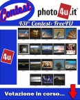 431 Free4U Contest Votazione in corso... 431 Free4U Contest Votazione in corso...