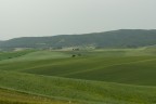 Grano Grano