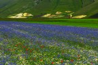 Castelluccio...amarcord..3 Castelluccio...amarcord..3