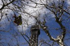 Pesce a Parigi Pesce a Parigi