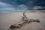 Spiagge tempestose Spiagge tempestose