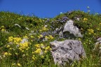 Giardino naturale Giardino naturale