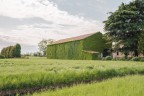 La casa verde