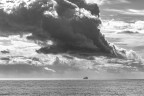 Navigando Navigando