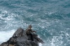 Equilibrismi Equilibrismi