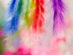 Colors Colors