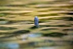 Natrix Natrix