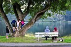 Davanti a un albero Davanti a un albero