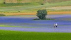 Fotografare Fotografare