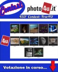 433° Contest: Free4U Votazione in corso... 433° Contest: Free4U Votazione in corso...