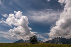il solitario