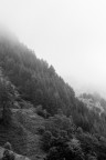 Nebbia B.N. Nebbia B.N.