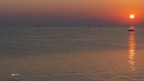 Vongolieri..al sorgere del sole.. Vongolieri..al sorgere del sole..