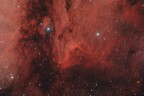 Nebulosa Pellicano Nebulosa Pellicano
