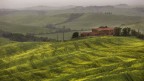 Ondulazioni toscane Ondulazioni toscane