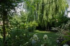 Il mio giardino... Il mio giardino...