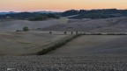 All'alba nelle colline toscane..