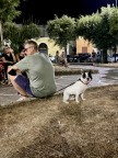 Trepuzzi 8/2020 Trepuzzi 8/2020