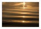 sul fiume dorato sul fiume dorato