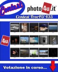 435� Contest: Free4U Votazione in corso...