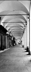 Curve e linee rette. Curve e linee rette.