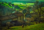 Campagna collinare. Felino Parma