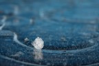 Frozen Frozen